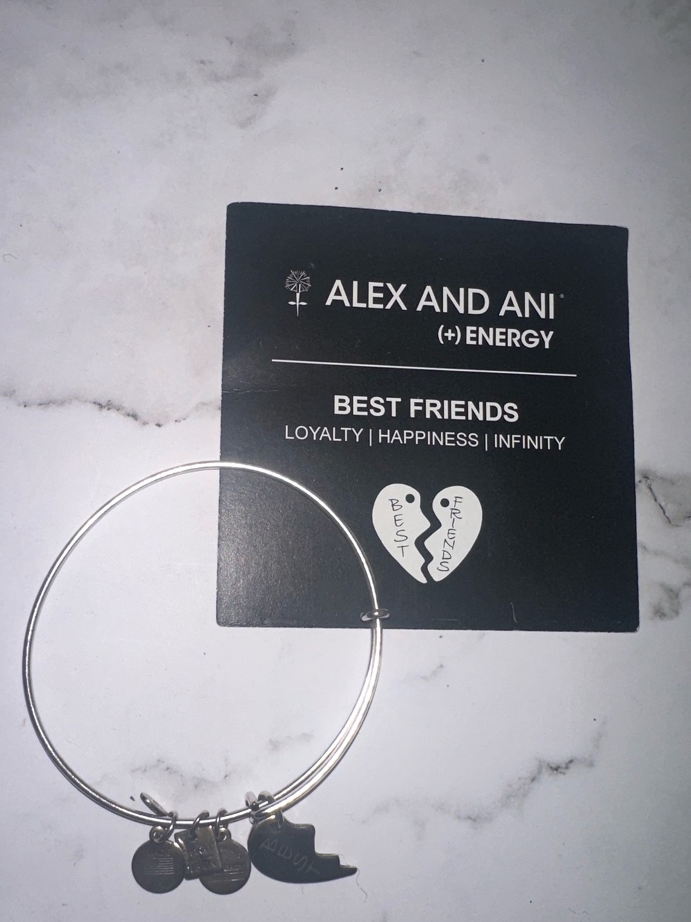 Alex and Ani Silver Best Friends Charm Bangle